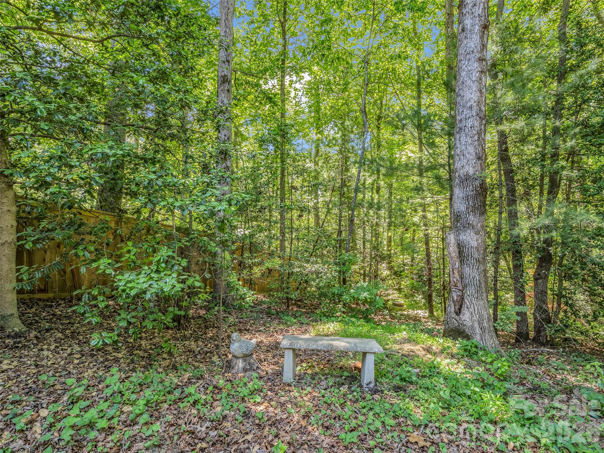 1042 Columbine Road — Asheville