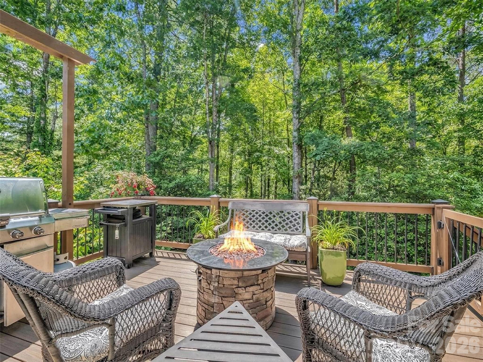 1042 Columbine Road — Asheville