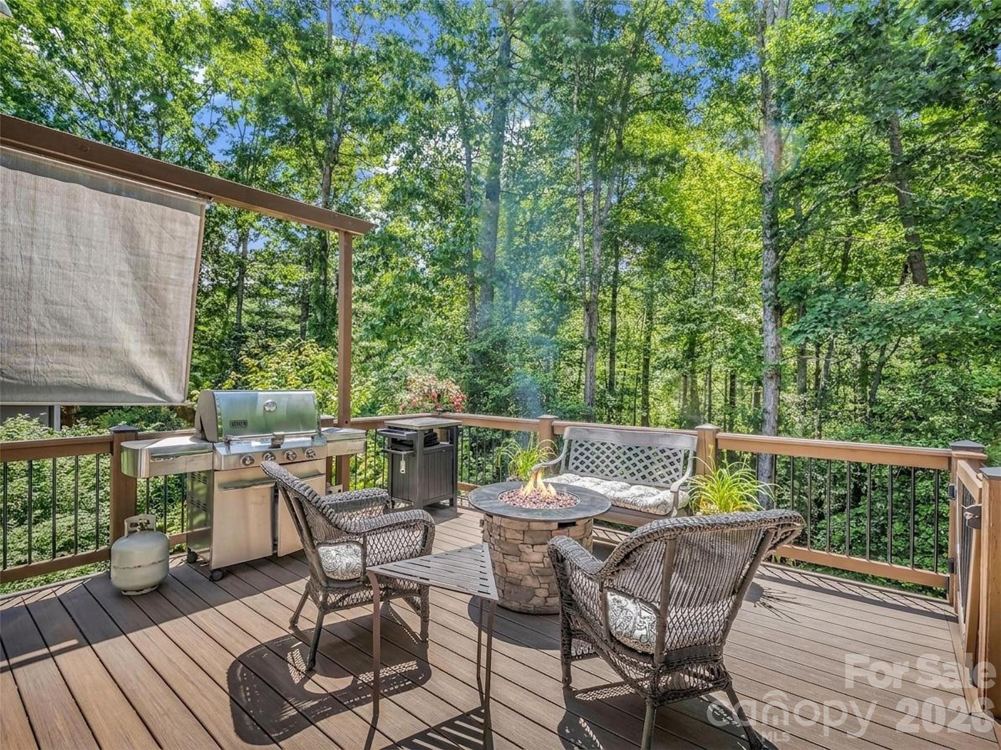 1042 Columbine Road — Asheville
