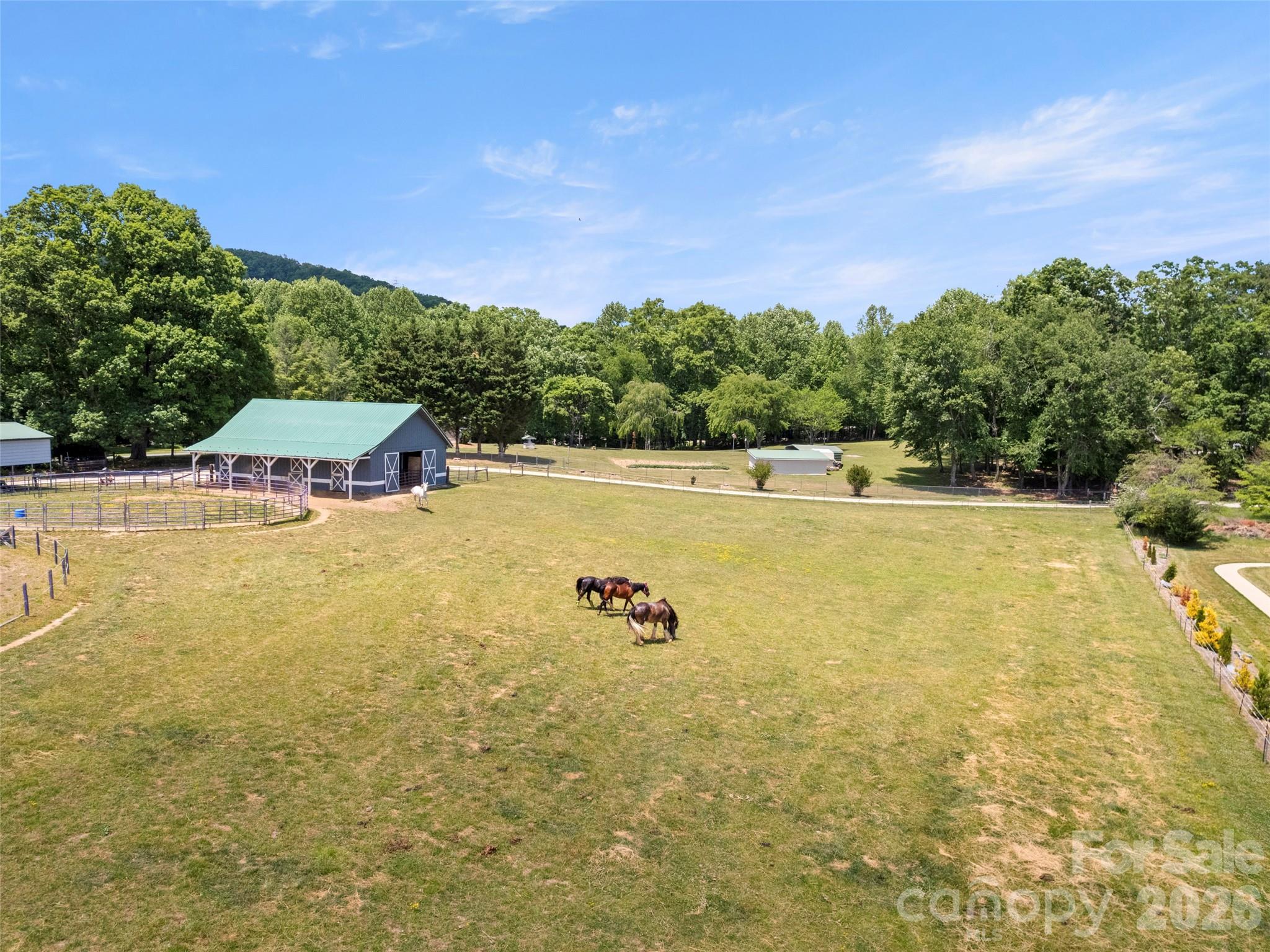 363 Samuel Drive — Mills River