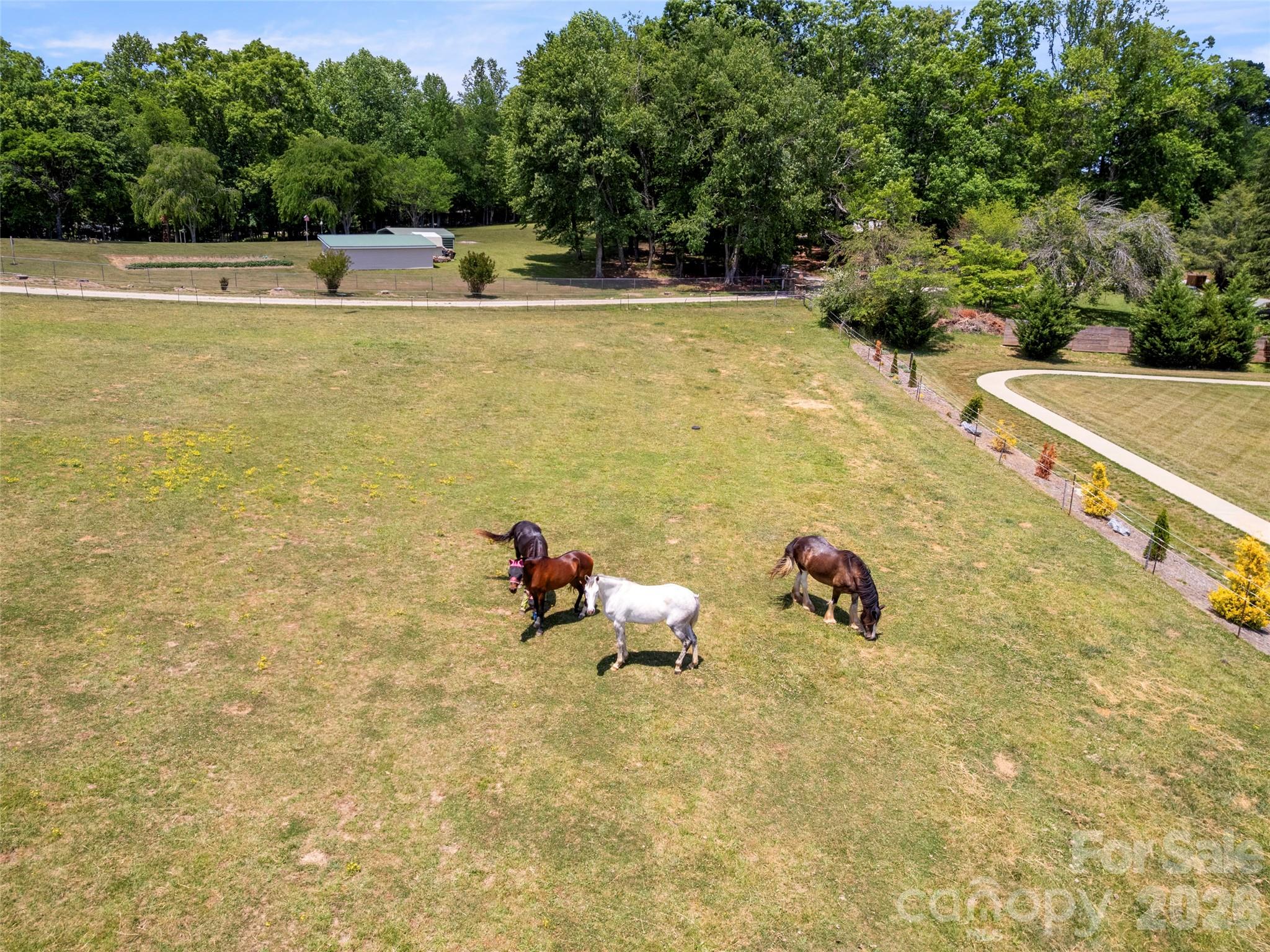 363 Samuel Drive — Mills River