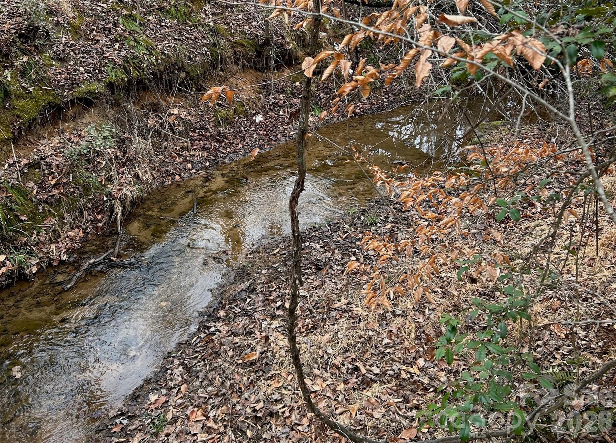 365 Guernsey Lane — Roebuck