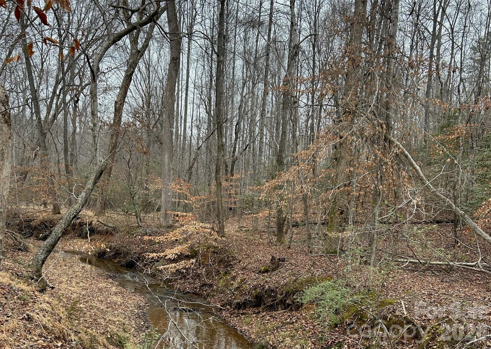 365 Guernsey Lane — Roebuck