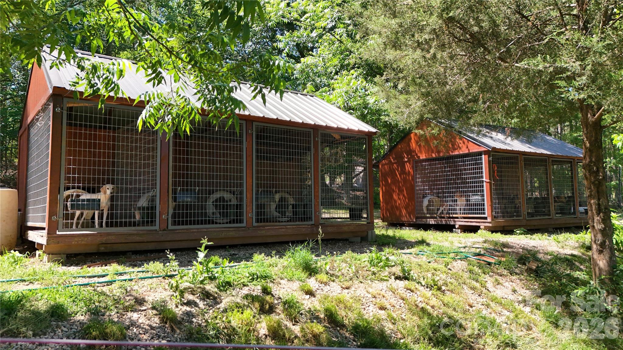 365 Guernsey Lane — Roebuck