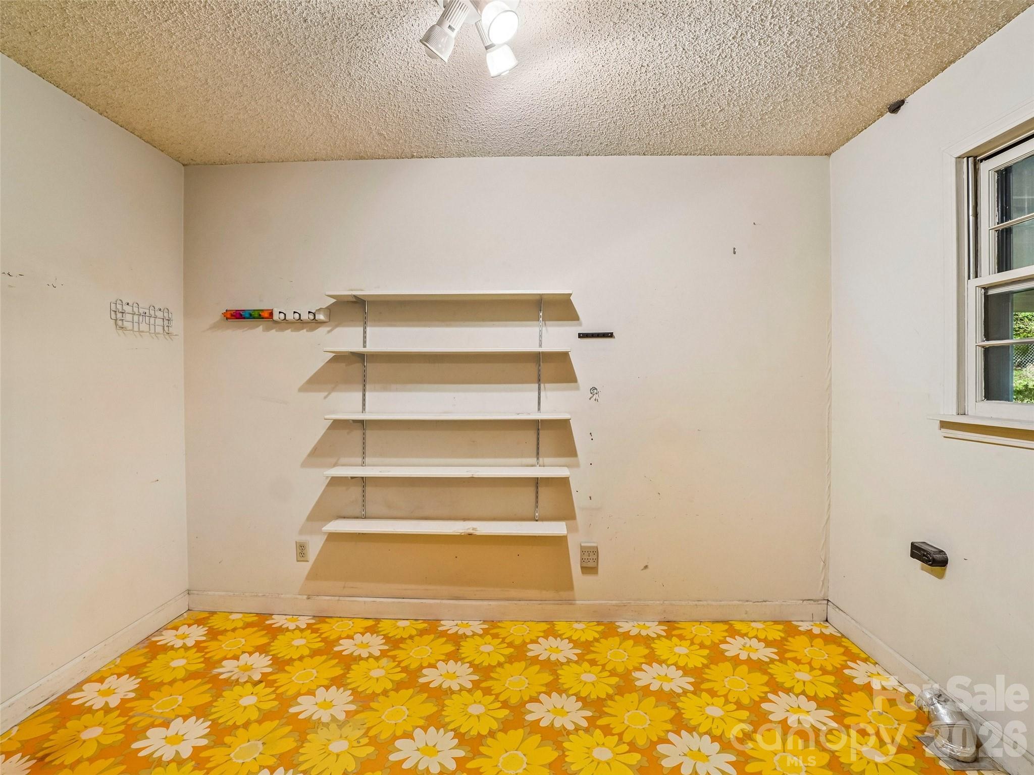 114 Overlook Road — Asheville