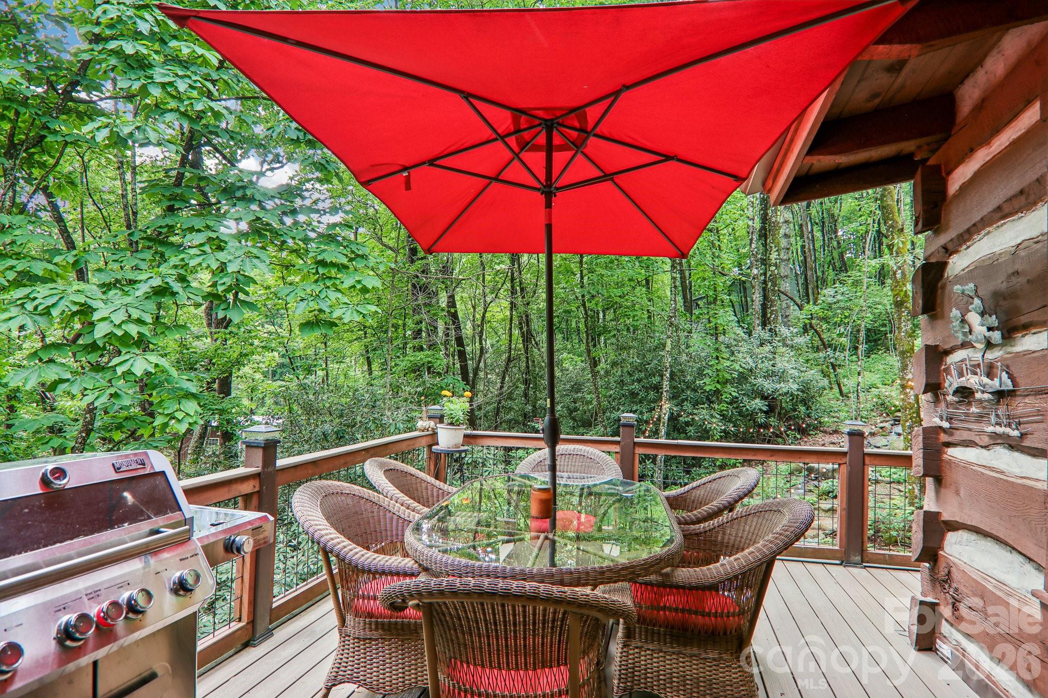 17198 Rosman Highway — Lake Toxaway