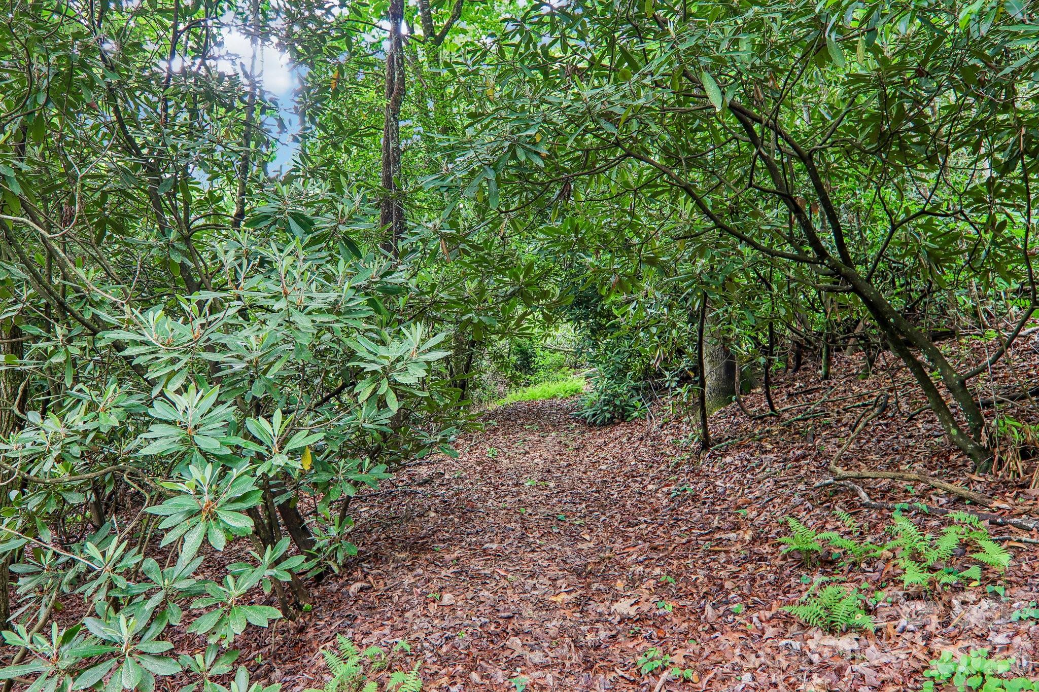 17198 Rosman Highway — Lake Toxaway