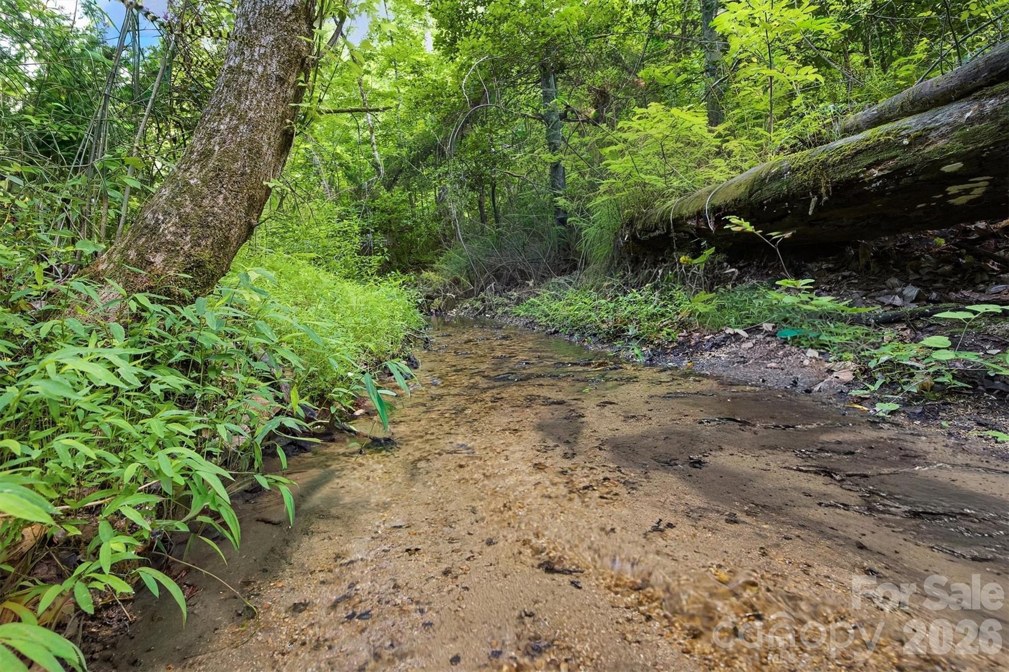 360 Johnson Caldwell Road — Boomer
