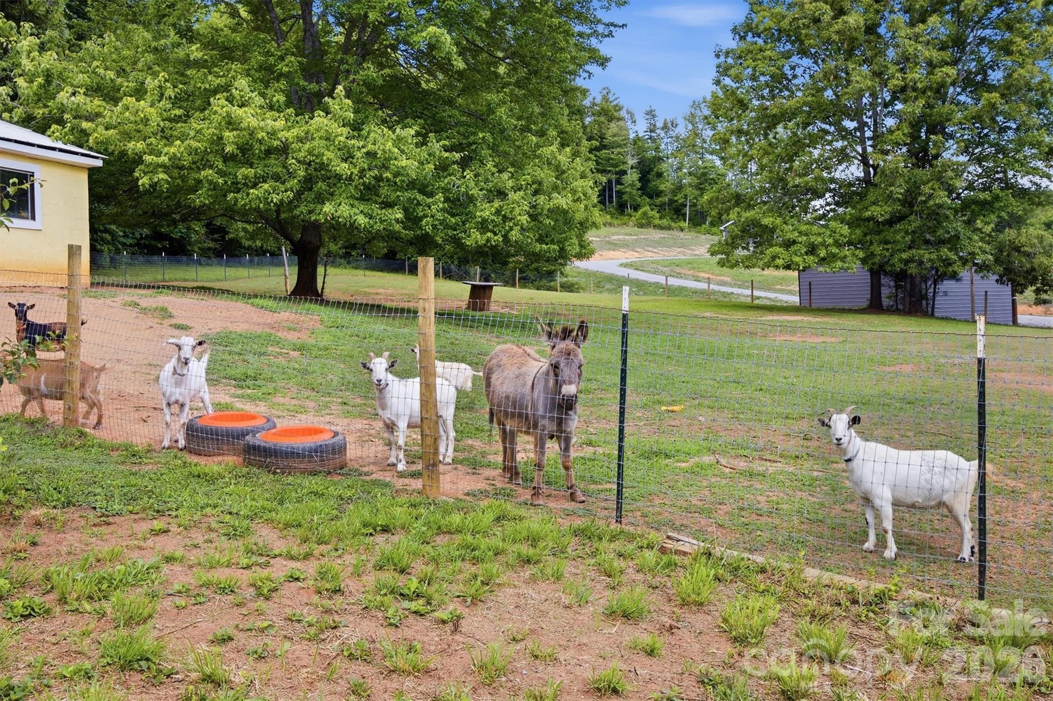 360 Johnson Caldwell Road — Boomer