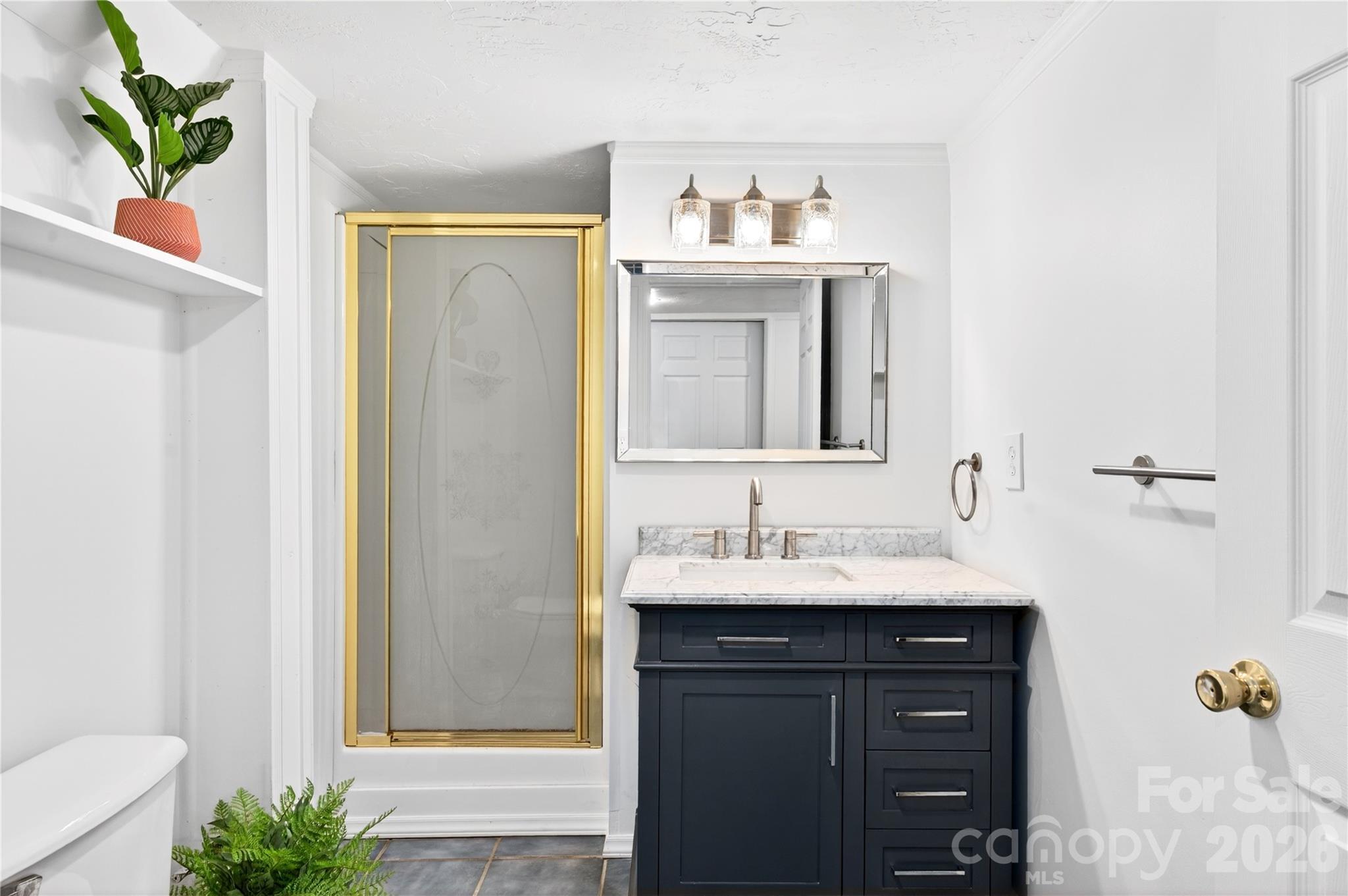 134 W Oakview Road — Asheville