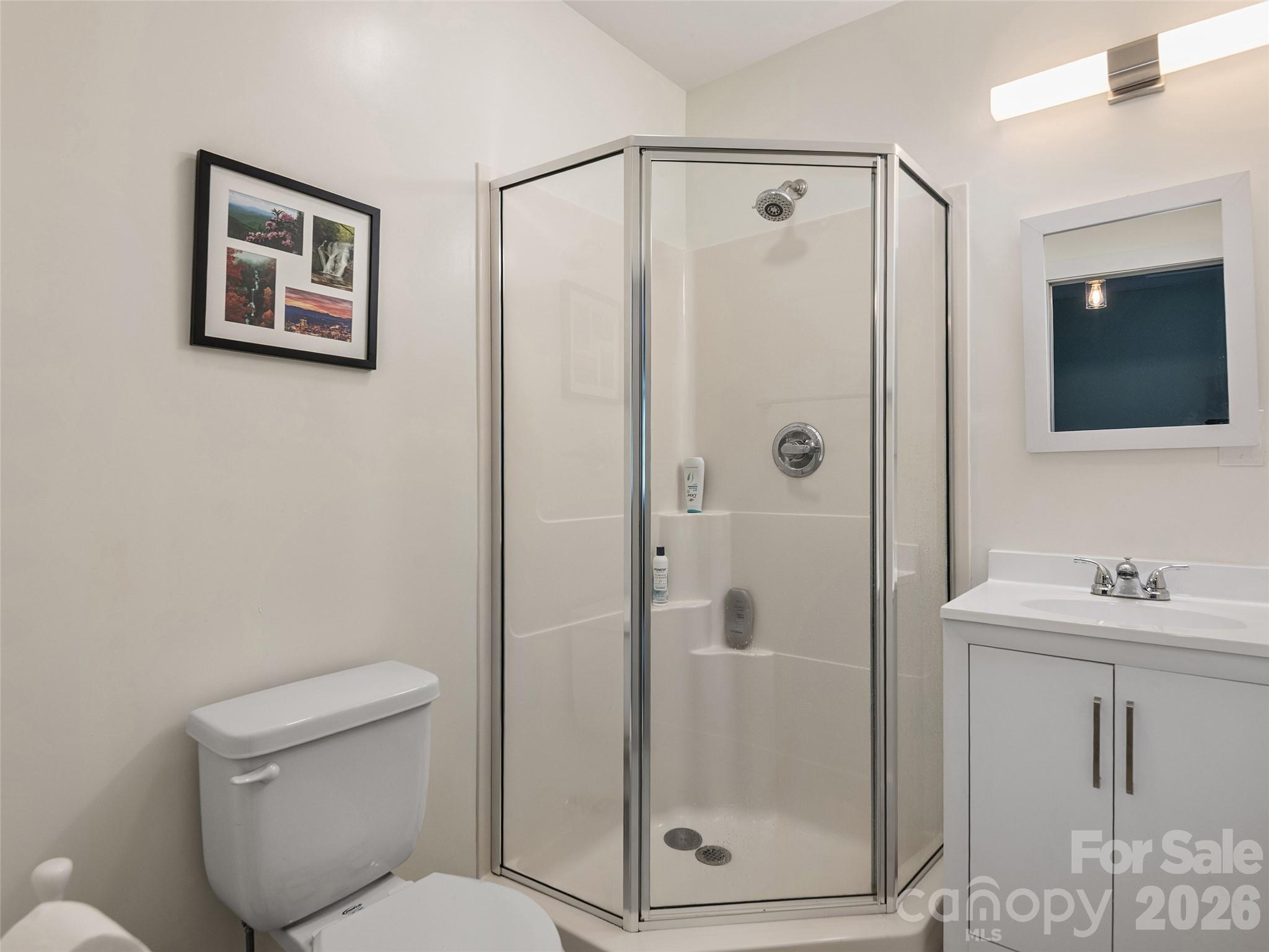 64 Springside Road — Asheville