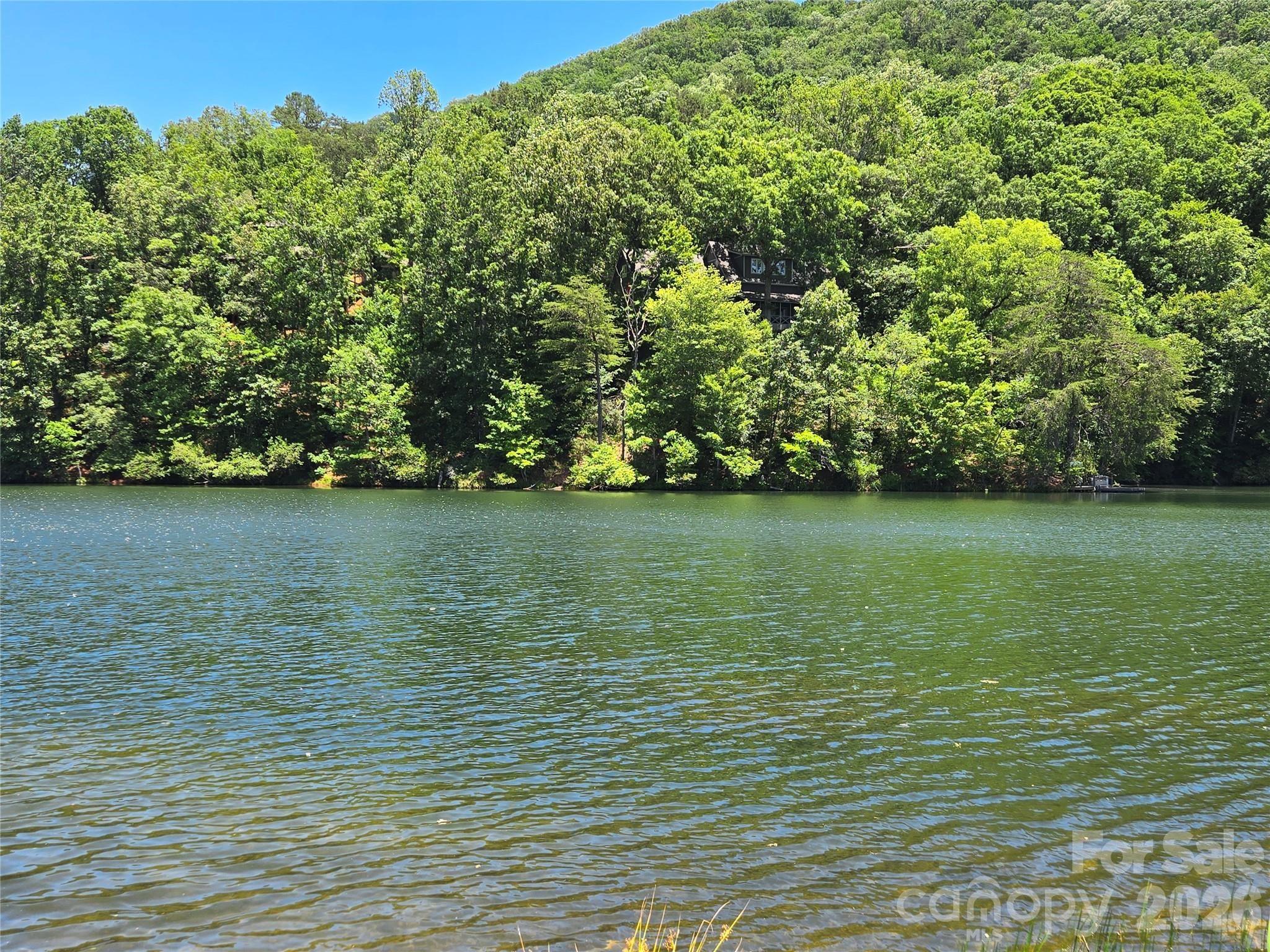 147 W Lake Drive S #1203 — Lake Lure