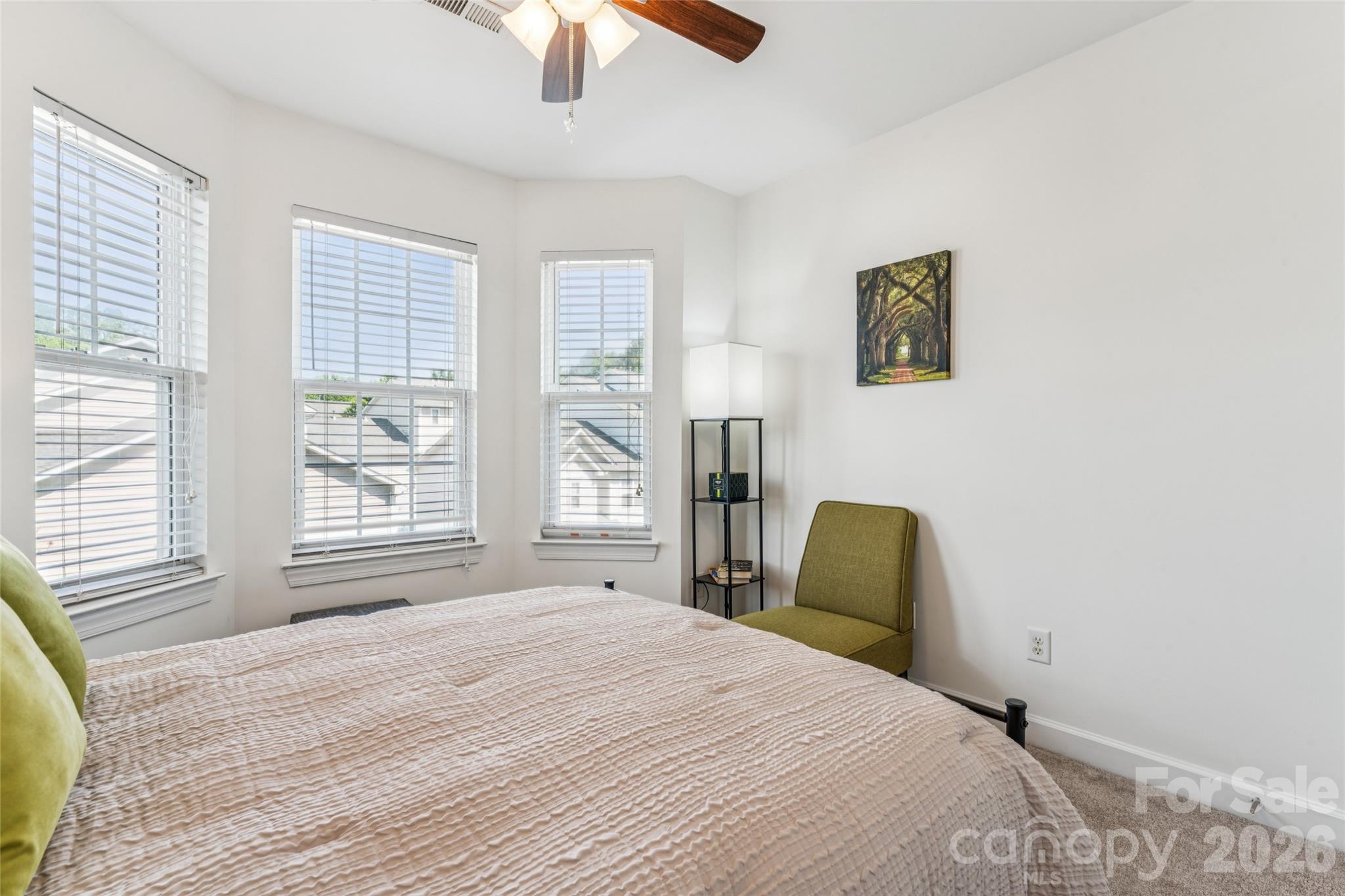 6333 Royal Celadon Way #6333 — Charlotte