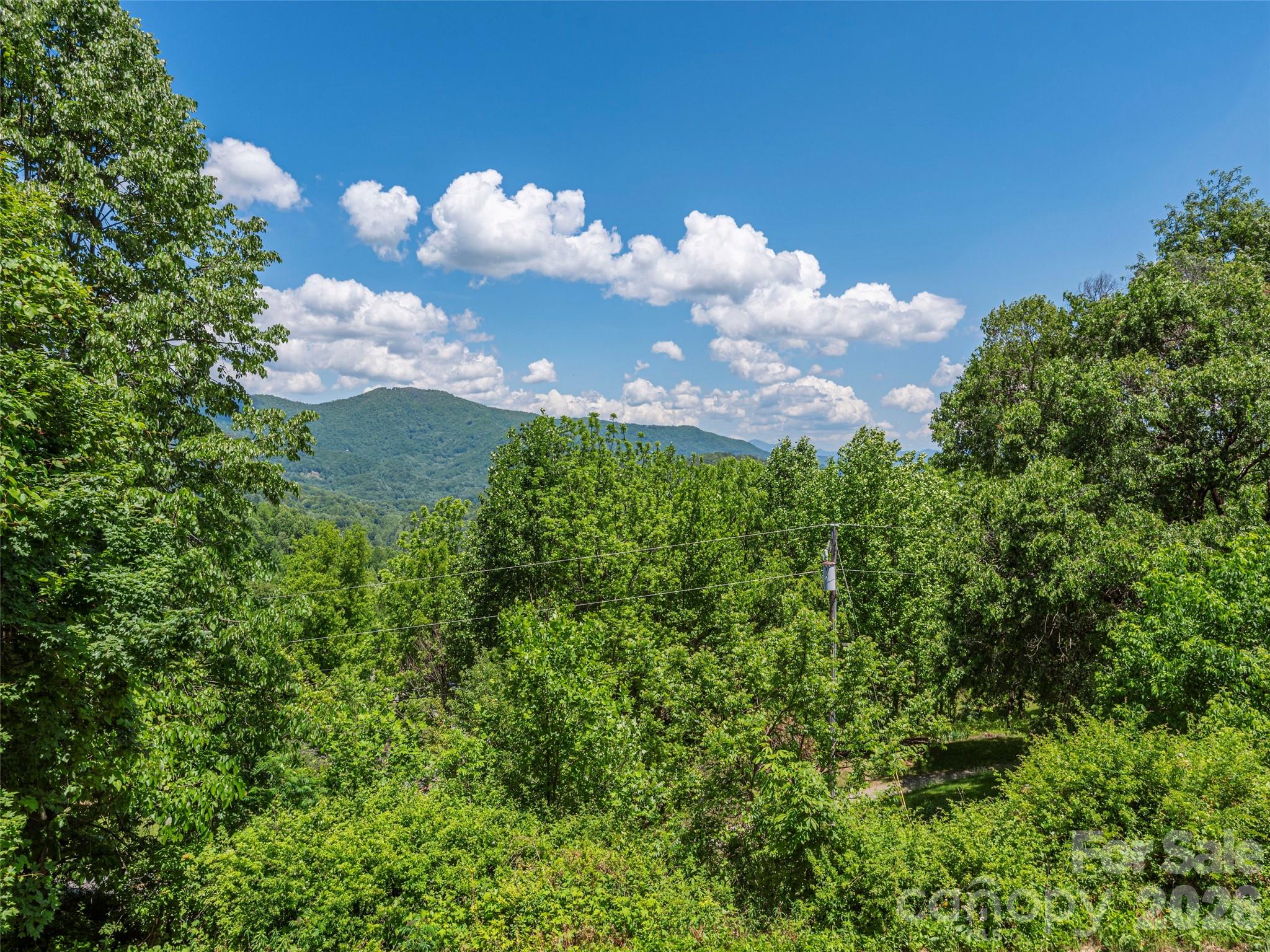 649 Acres View Drive — Waynesville