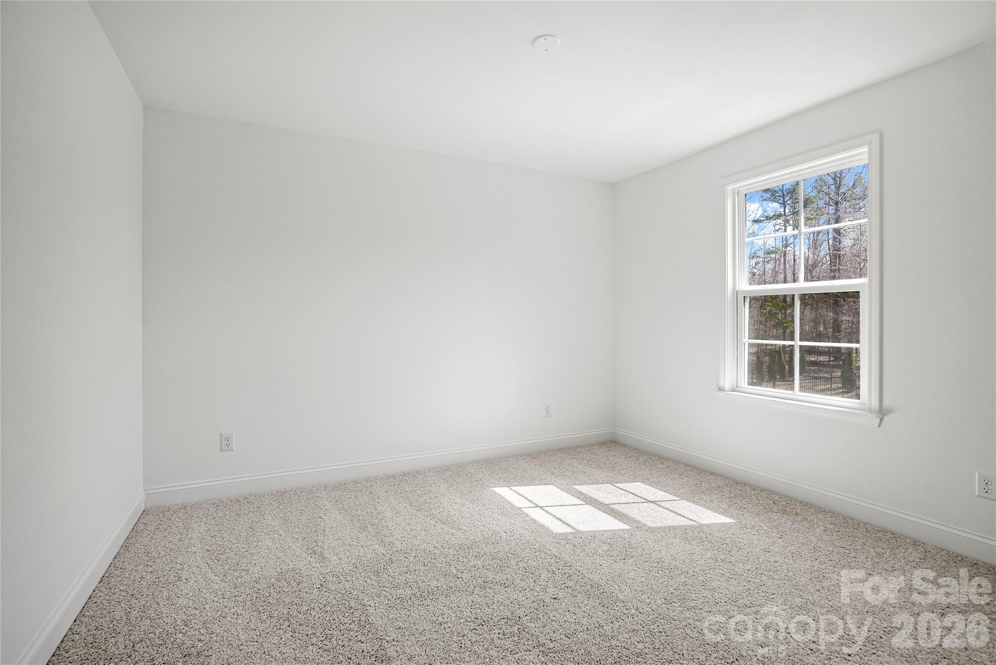 1011 High Bluff Point SE — Waxhaw