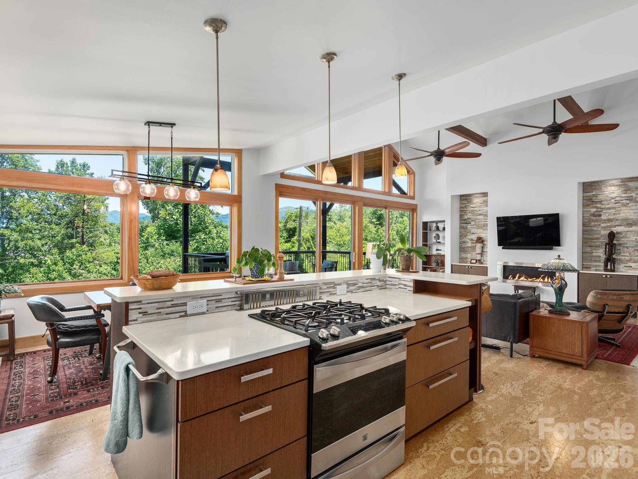 105 Upper Grove Lane — Weaverville