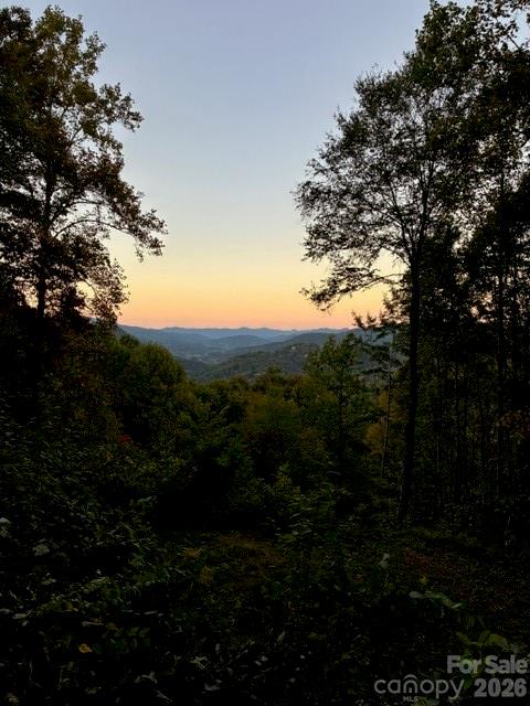 105 Dotsu Trail — Maggie Valley