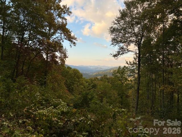 105 Dotsu Trail — Maggie Valley