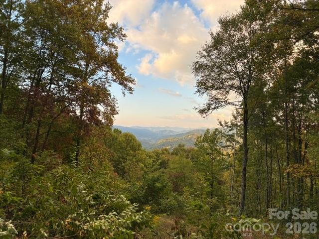 105 Dotsu Trail — Maggie Valley