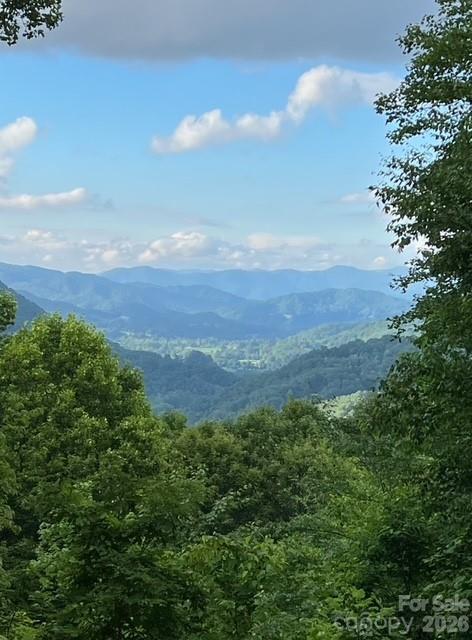 105 Dotsu Trail — Maggie Valley