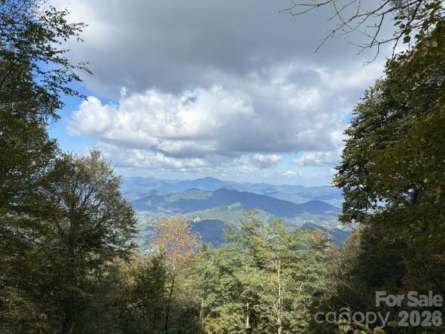 105 Dotsu Trail — Maggie Valley