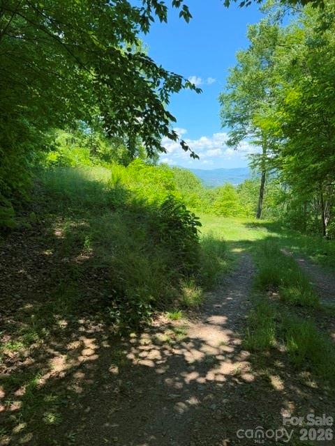 105 Dotsu Trail — Maggie Valley