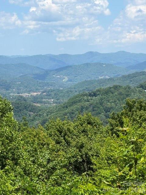 105 Dotsu Trail — Maggie Valley