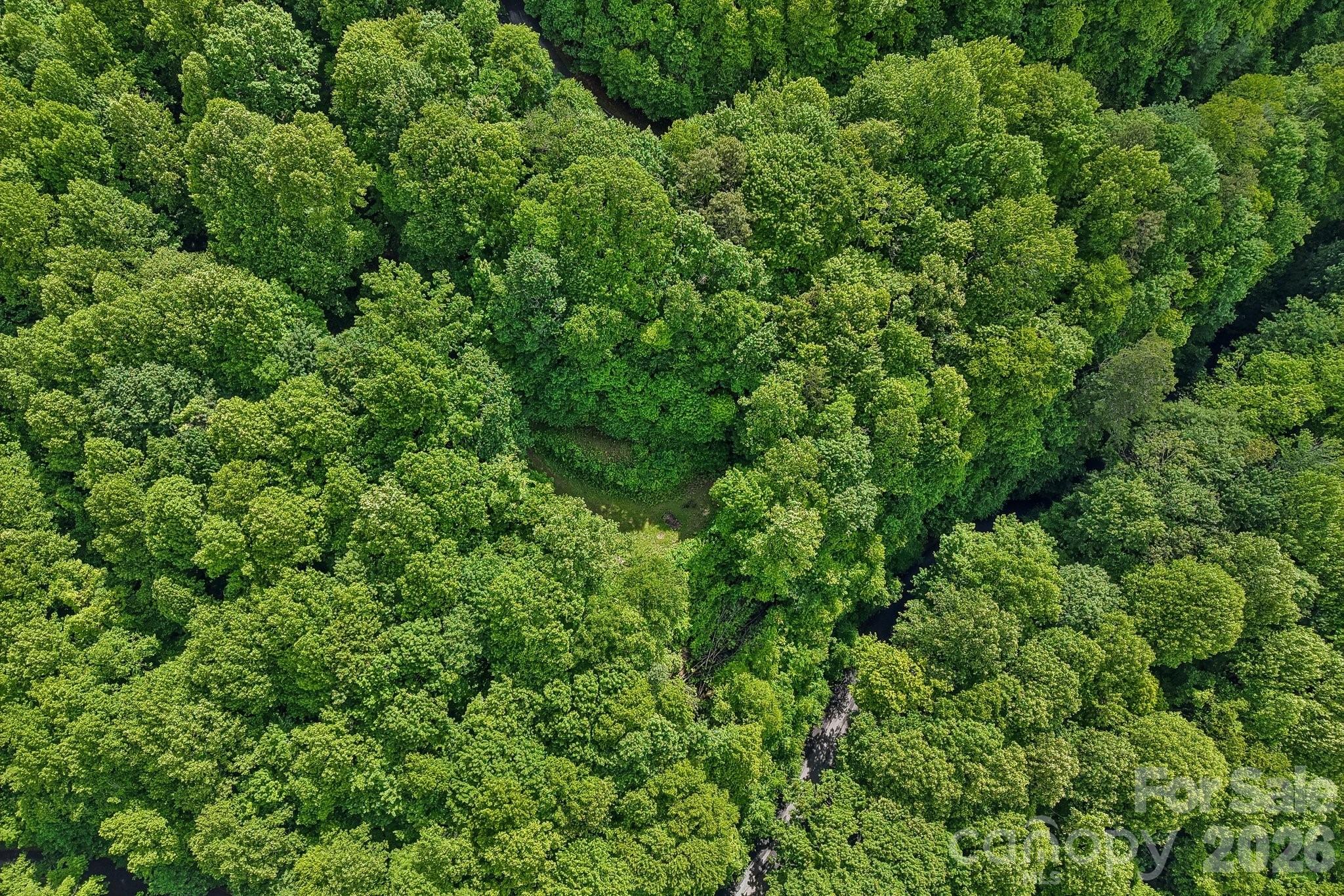 105 Dotsu Trail — Maggie Valley