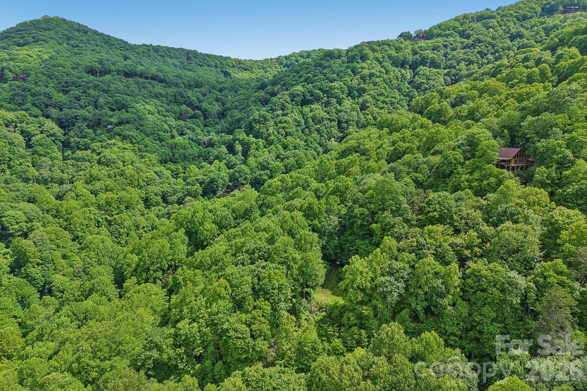 105 Dotsu Trail — Maggie Valley
