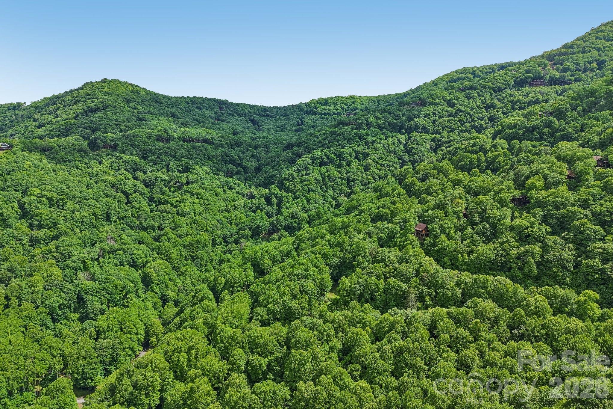 105 Dotsu Trail — Maggie Valley