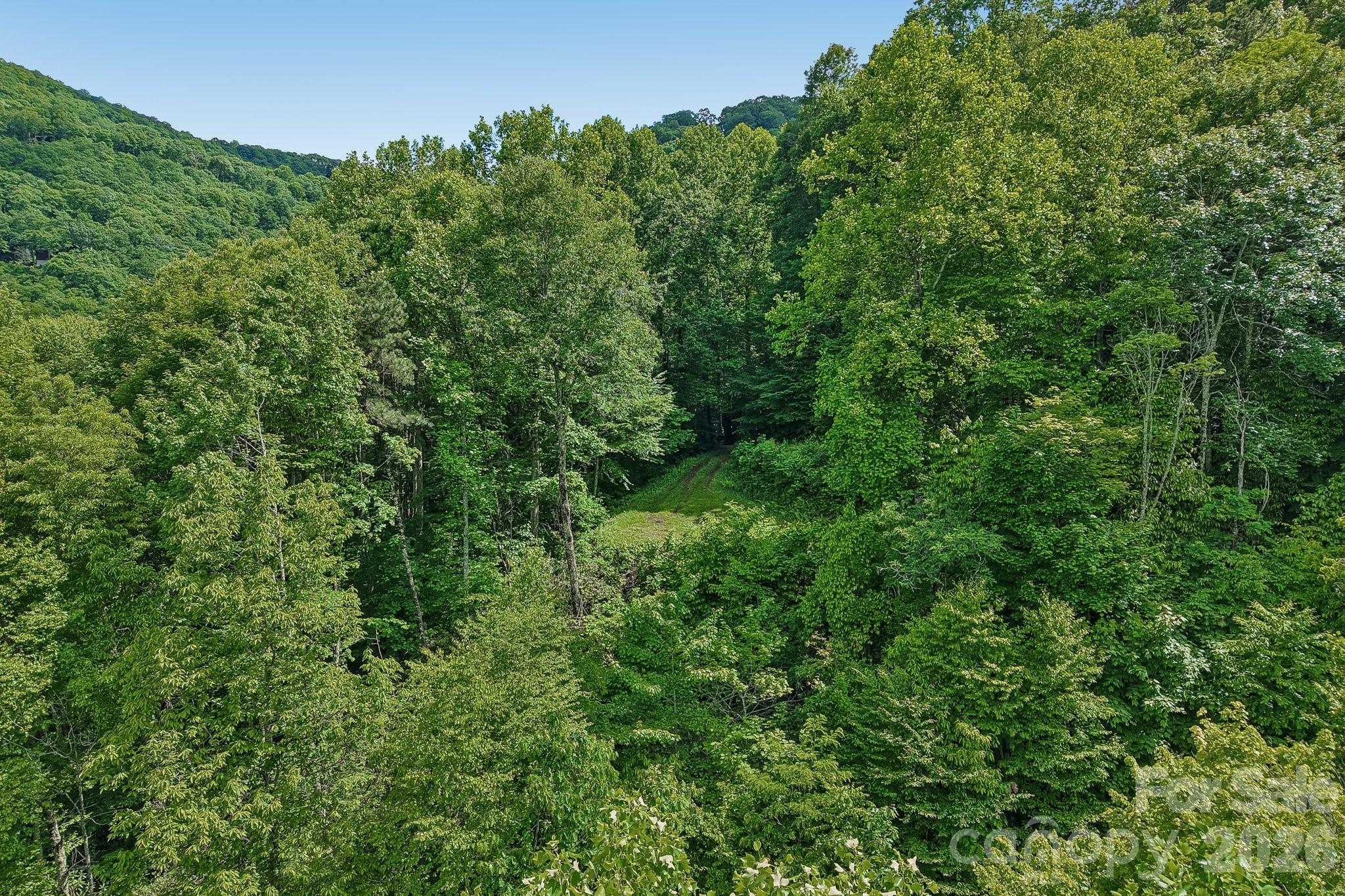 105 Dotsu Trail — Maggie Valley