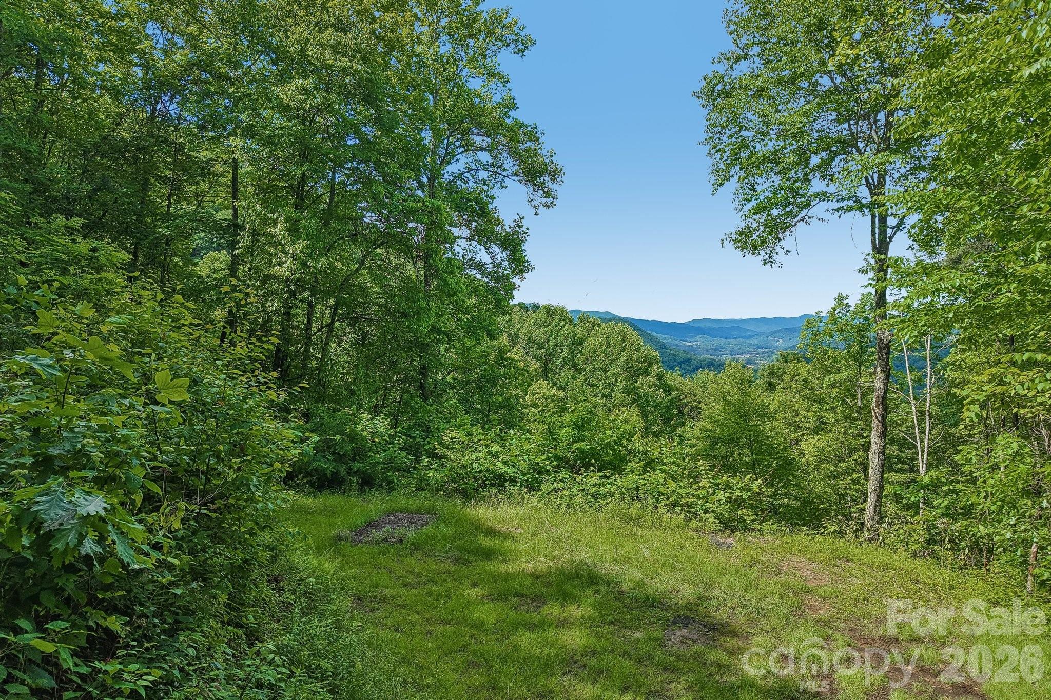 105 Dotsu Trail — Maggie Valley