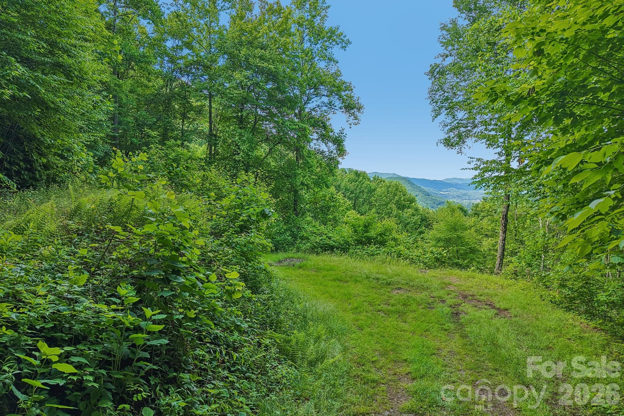 105 Dotsu Trail — Maggie Valley