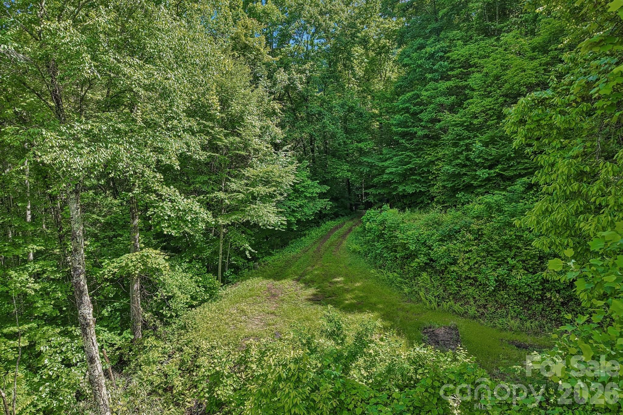 105 Dotsu Trail — Maggie Valley