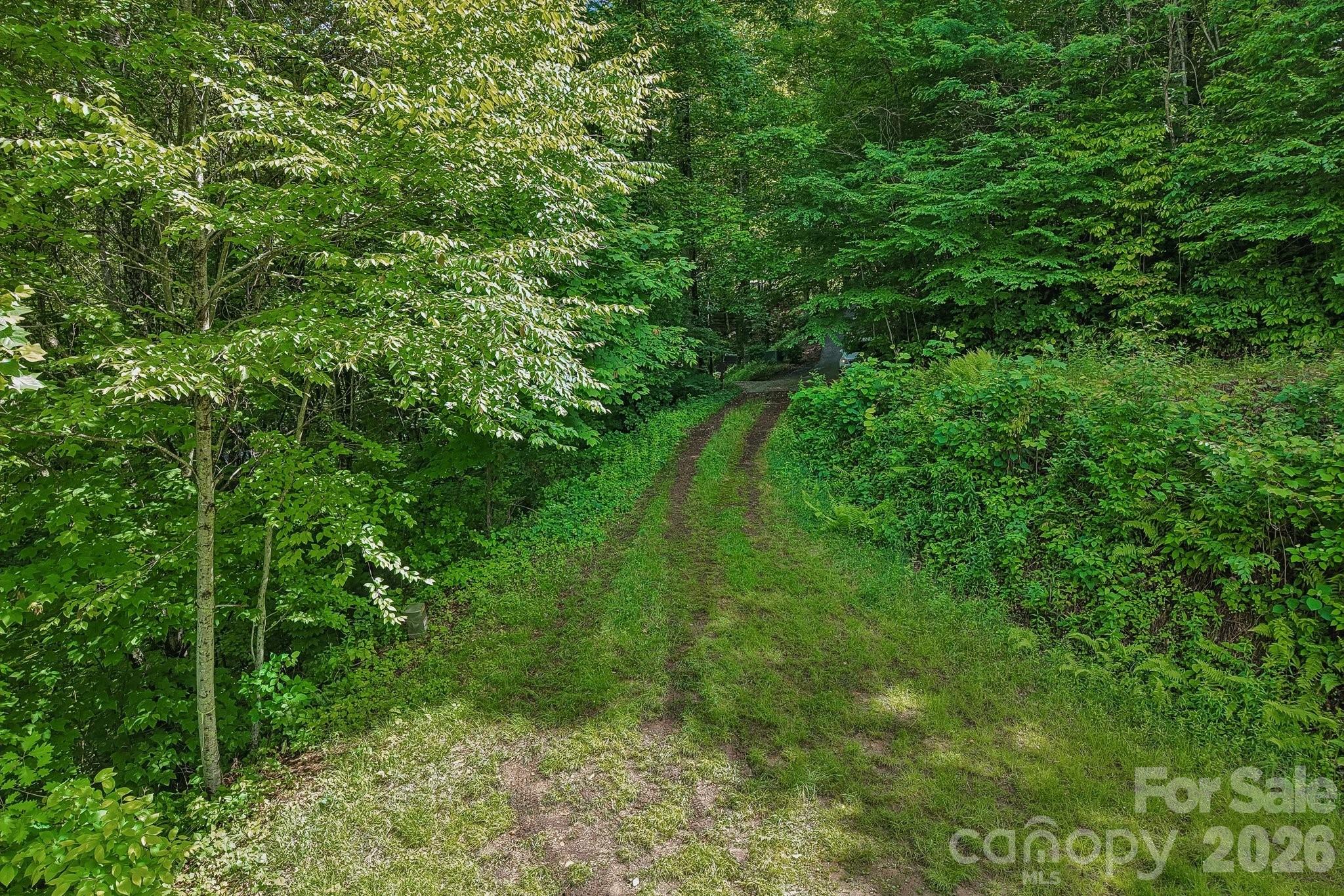 105 Dotsu Trail — Maggie Valley