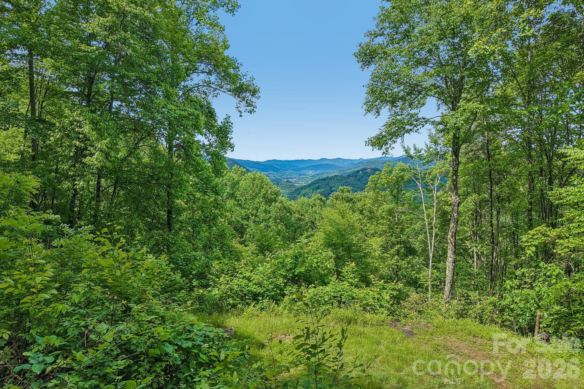 105 Dotsu Trail — Maggie Valley
