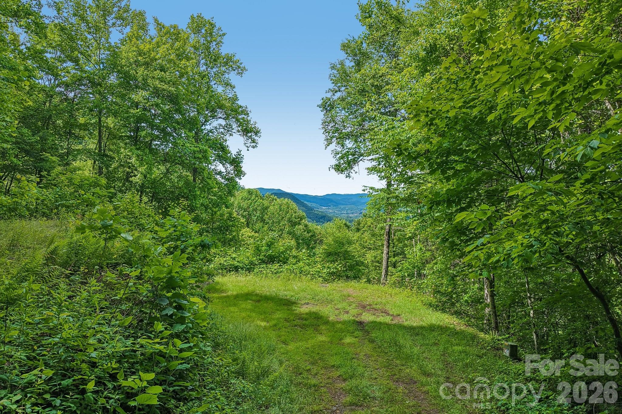 105 Dotsu Trail — Maggie Valley