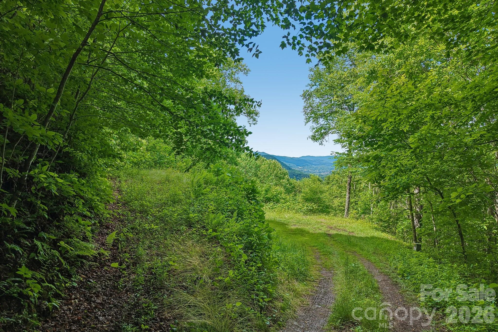 105 Dotsu Trail — Maggie Valley