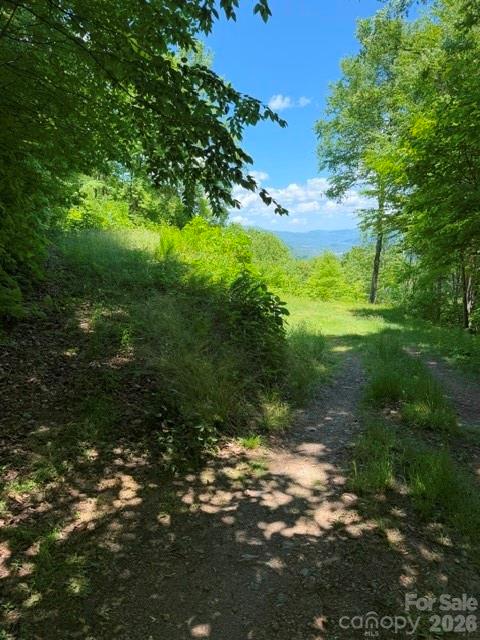 105 Dotsu Trail — Maggie Valley