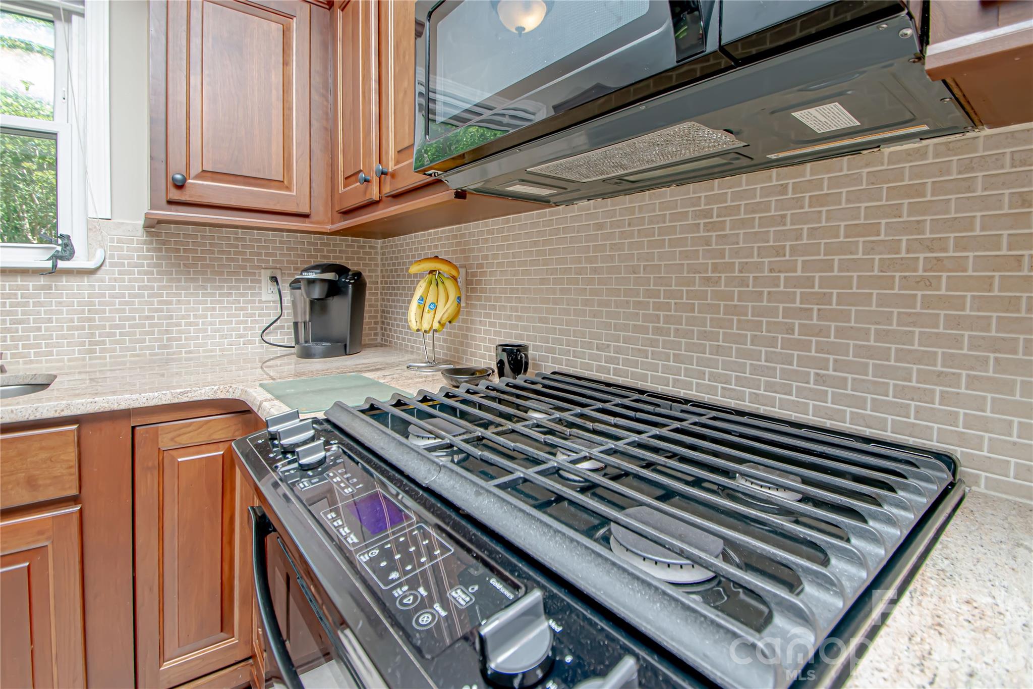 9301 Hanworth Trace Drive — Charlotte