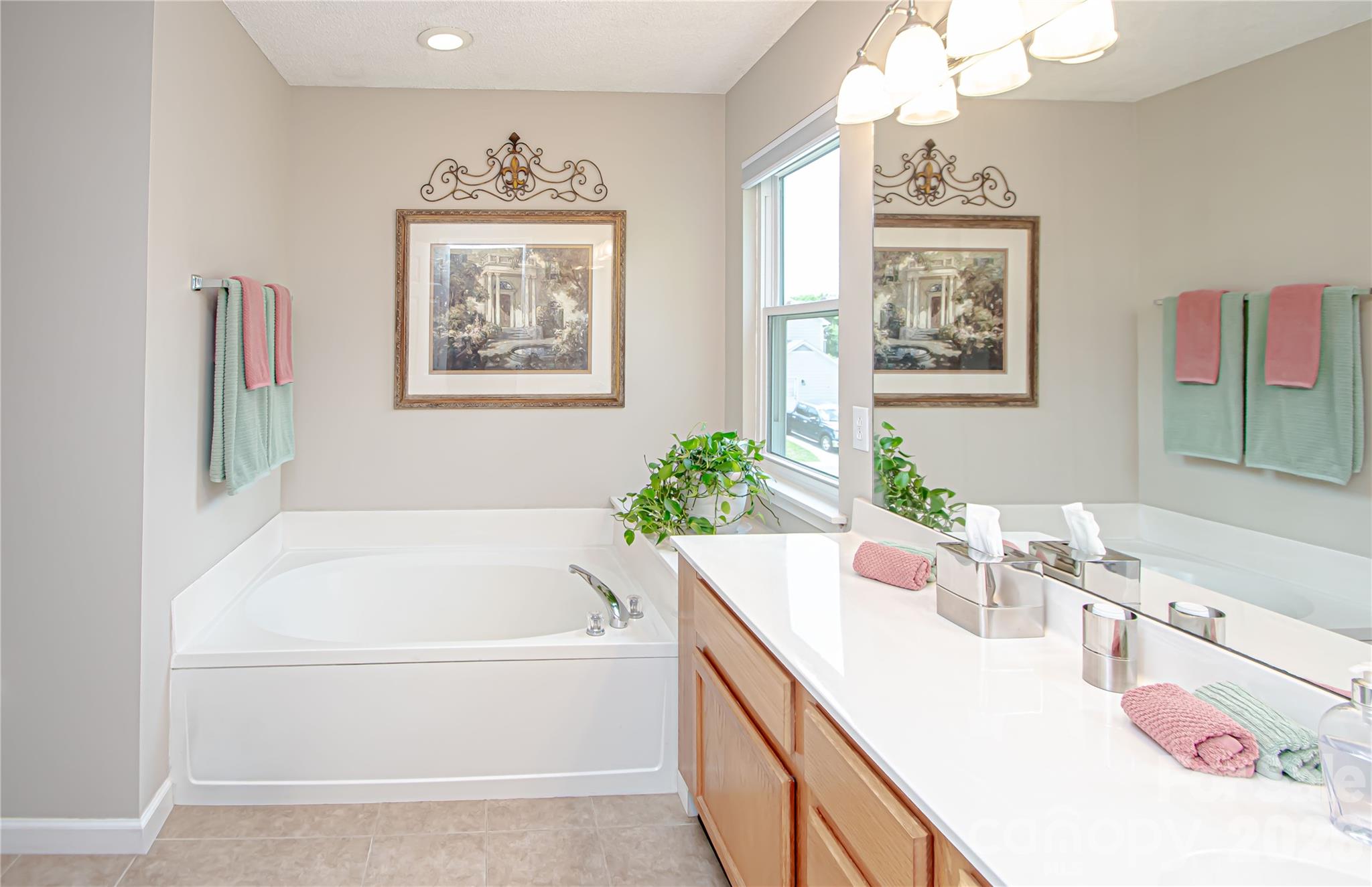 9301 Hanworth Trace Drive — Charlotte