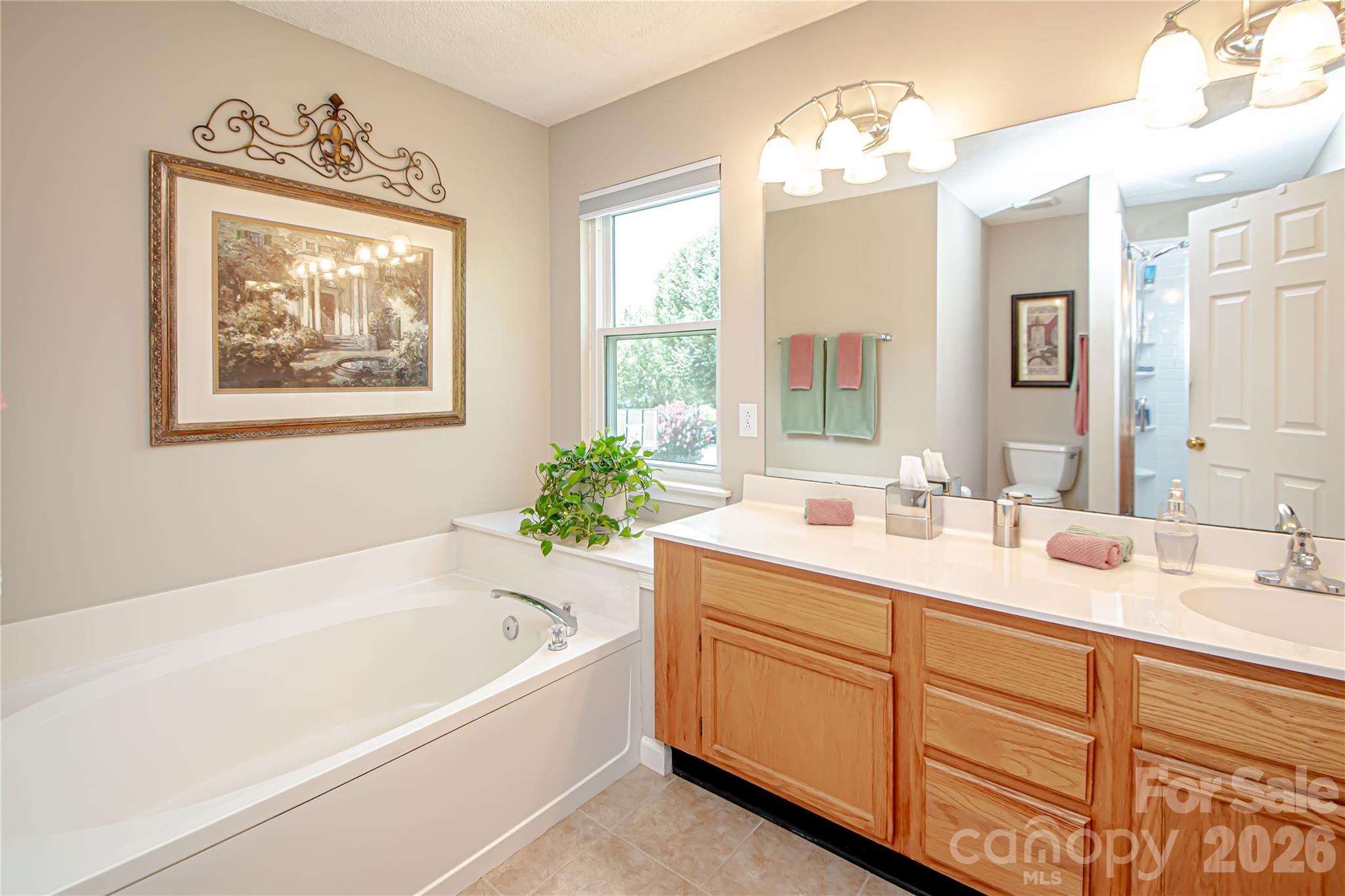 9301 Hanworth Trace Drive — Charlotte