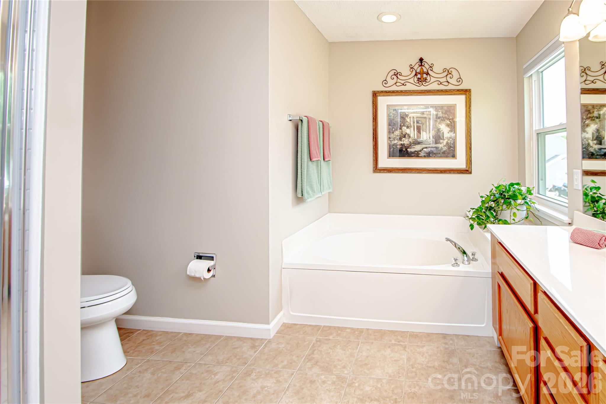 9301 Hanworth Trace Drive — Charlotte
