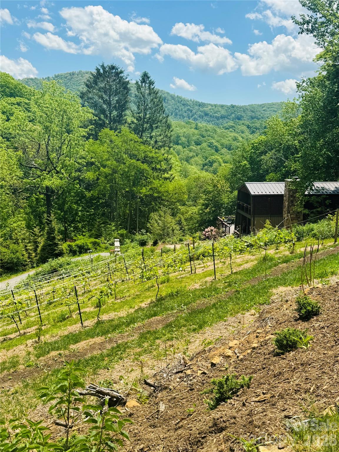 635/634 Little Horse Creek — Newland