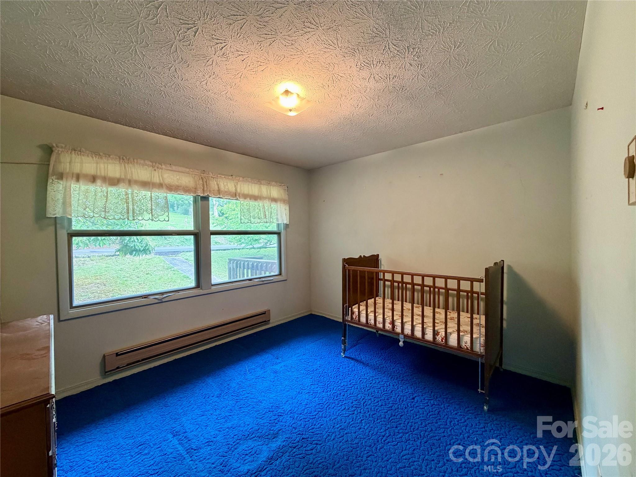 133 Jarvis Street — Waynesville