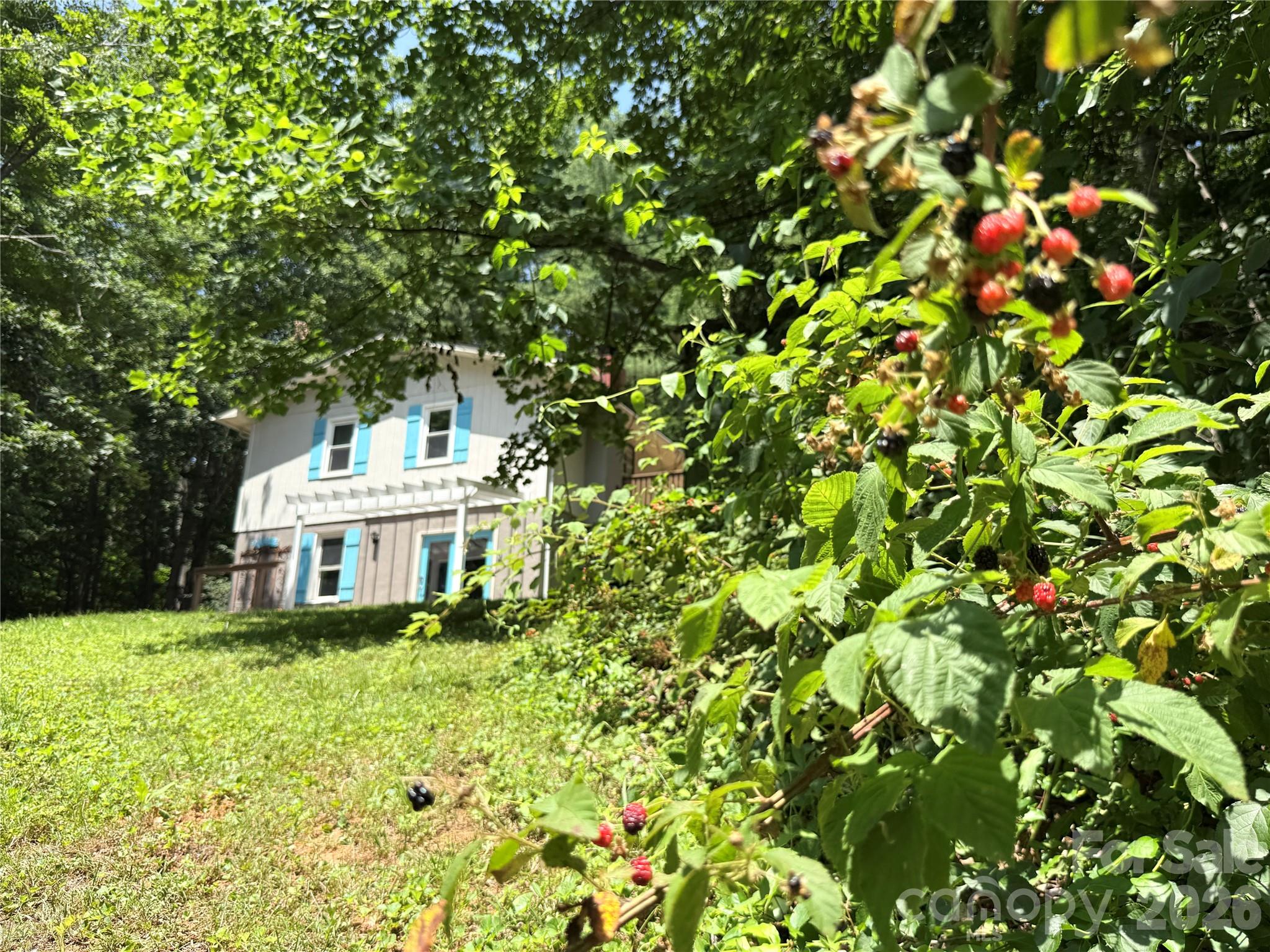 95 Walker Cove Road — Black Mountain