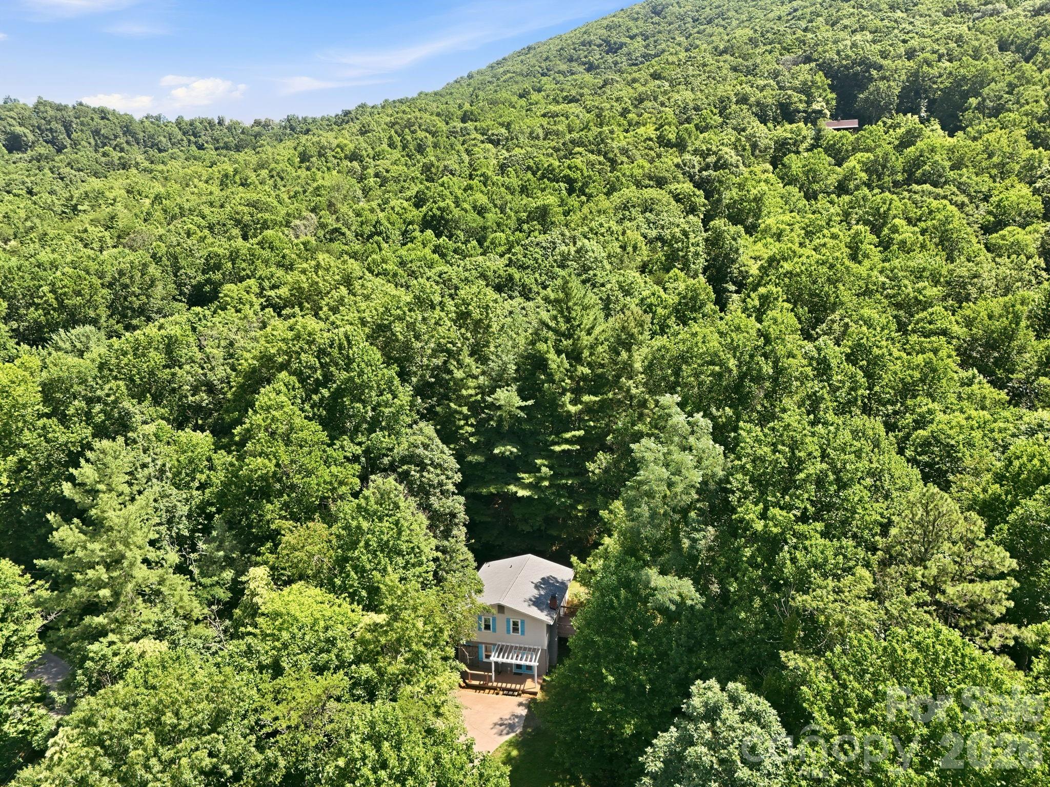 95 Walker Cove Road — Black Mountain