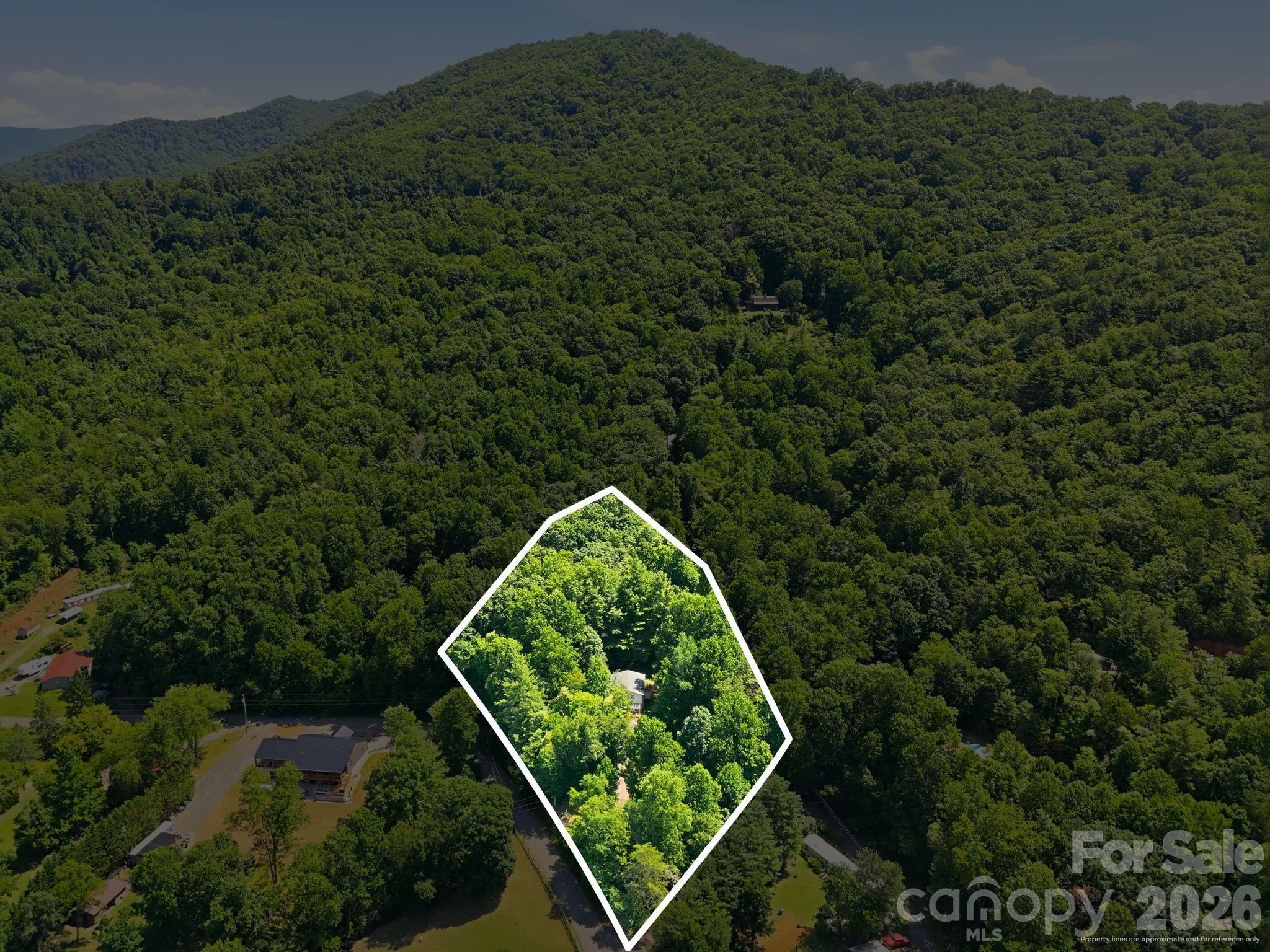 95 Walker Cove Road — Black Mountain