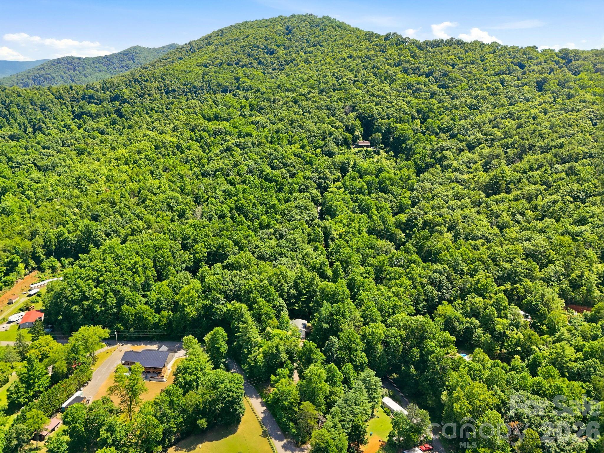 95 Walker Cove Road — Black Mountain