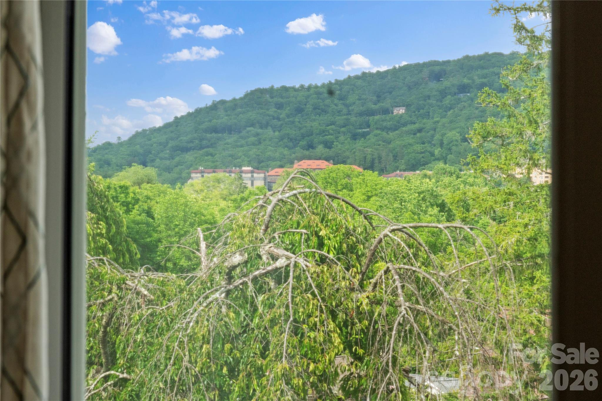 60 Austin Avenue — Asheville